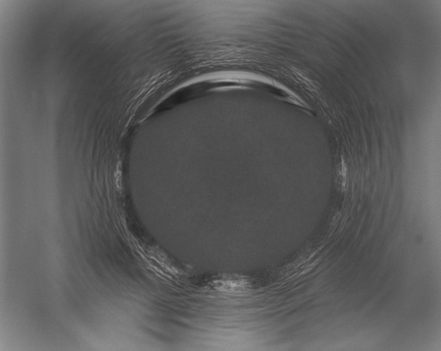 X0000056350552200509091559