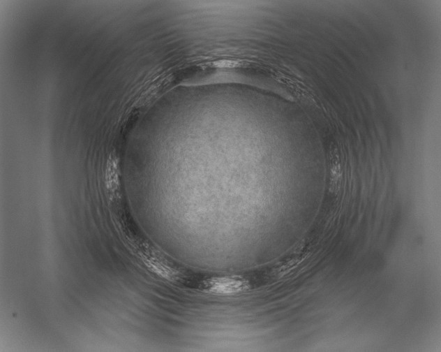 X0000056350555200509091559