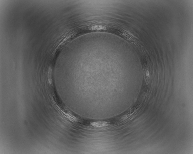 X0000056350556200509091559