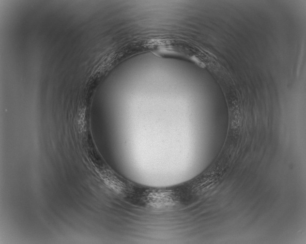 X0000056350560200509091559