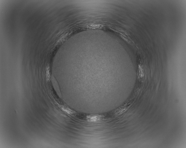 X0000056350564200509091559