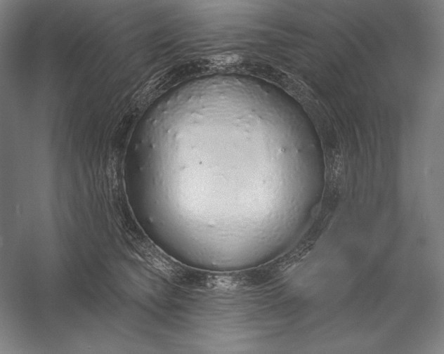 X0000056350565200509091559