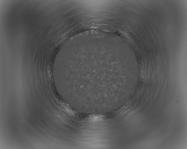 X0000056350569200509091559