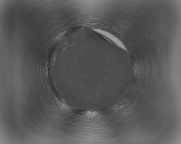 X0000056350570200509091559