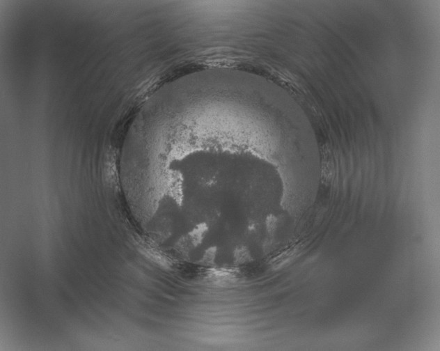 X0000056350573200509091559