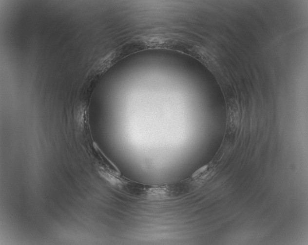 X0000056350574200509091559