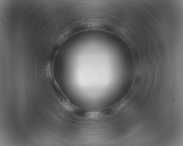 X0000056350575200509091559