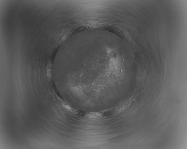 X0000056350576200509091559