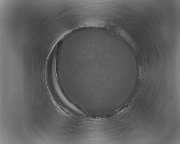 X0000056350580200509091558