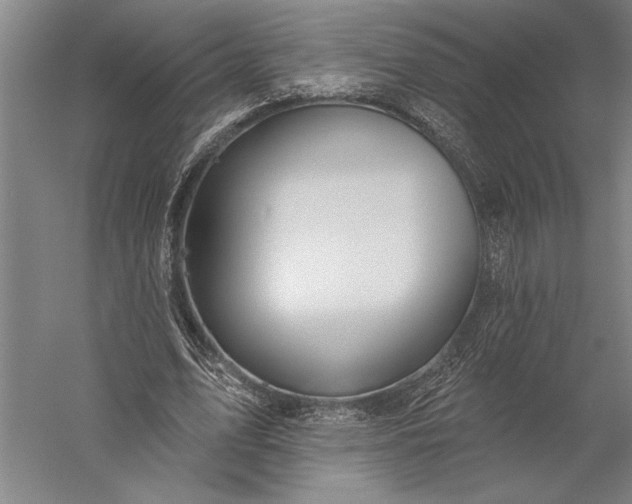 X0000056350583200509091558