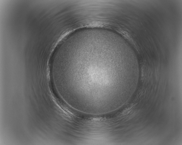 X0000056350584200509091558