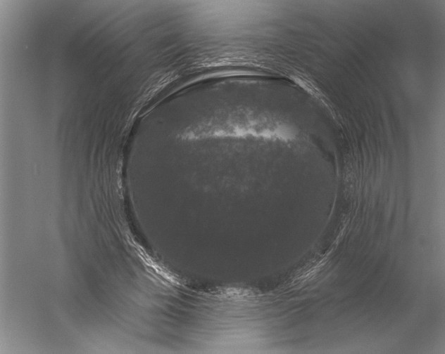 X0000056350585200509091558