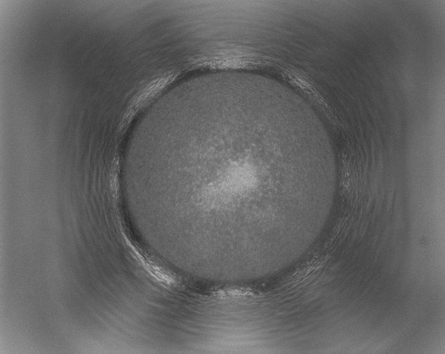 X0000056350586200509091558