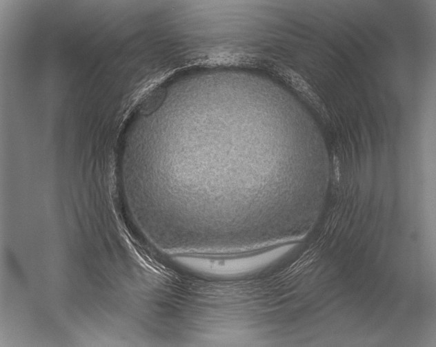 X0000056350588200509091558