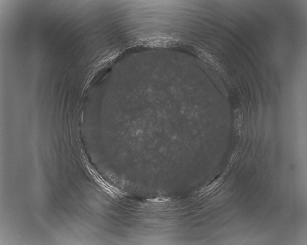 X0000056350589200509091558