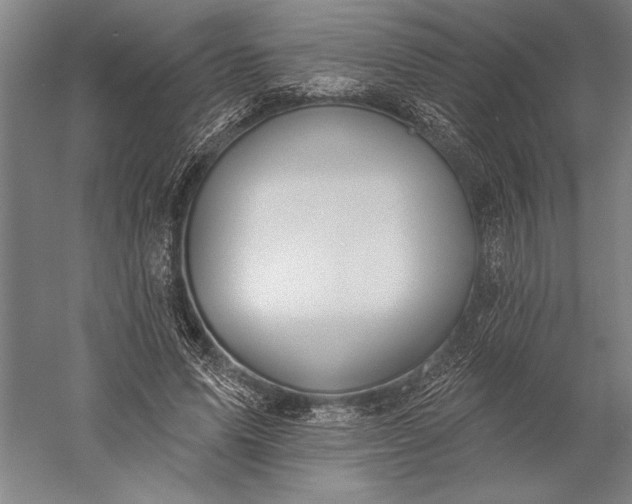 X0000056350591200509091558