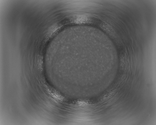 X0000056350592200509091558