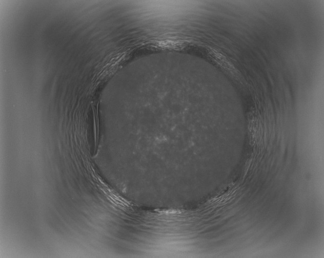 X0000056350593200509091558