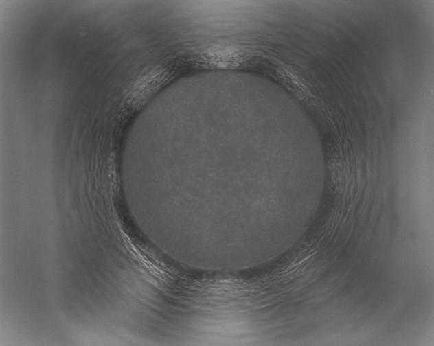 X0000056350594200509091558