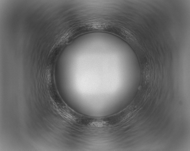 X0000056350595200509091558