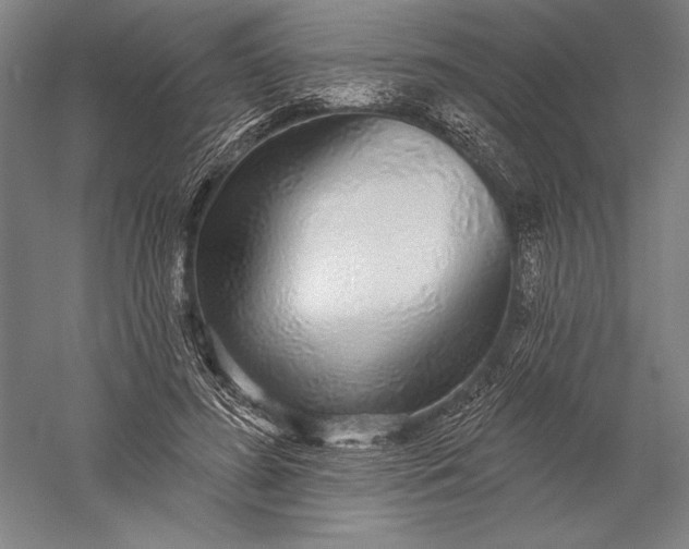 X0000056350596200509091558