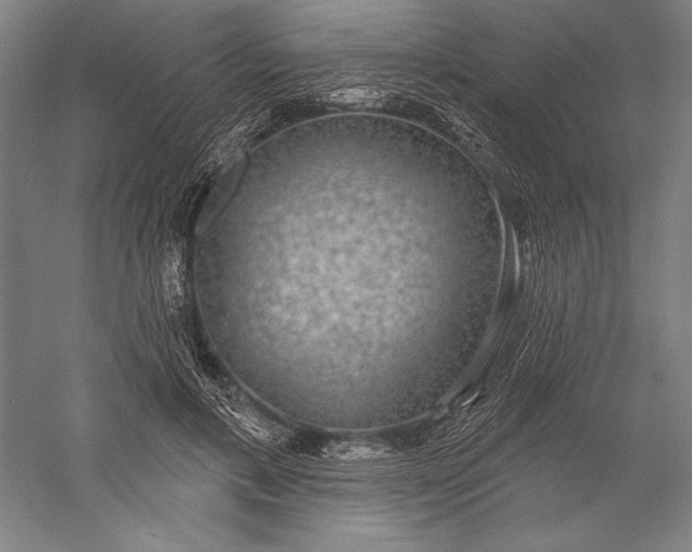 X0000056350597200509091558