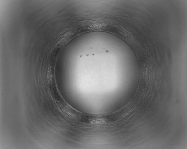 X0000056350599200509091558