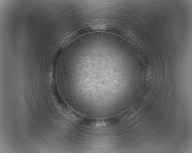 X0000056350600200509091558