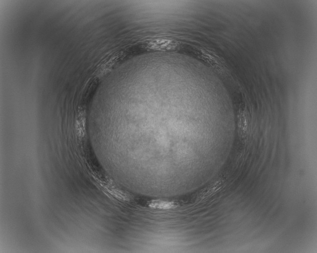 X0000056350602200509091558