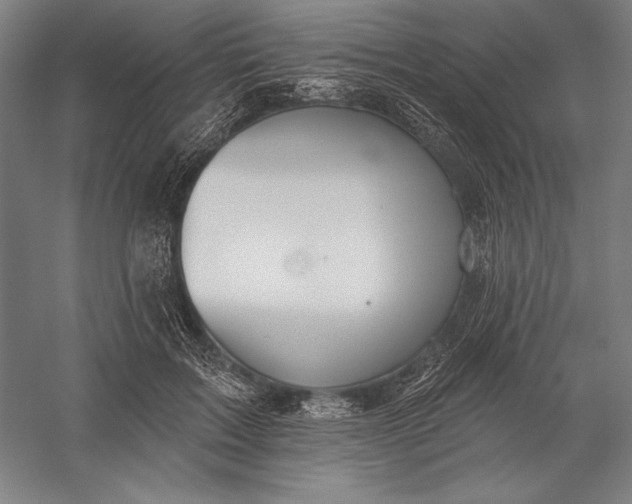 X0000056350603200509091558