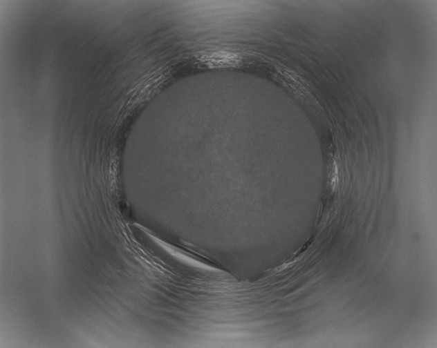 X0000056350604200509091558