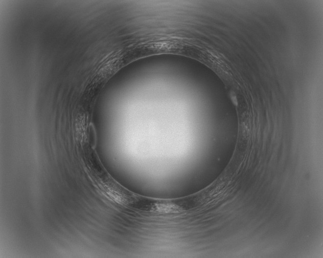 X0000056350605200509091558