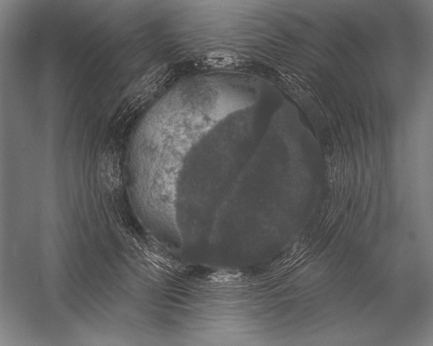 X0000056350606200509091558