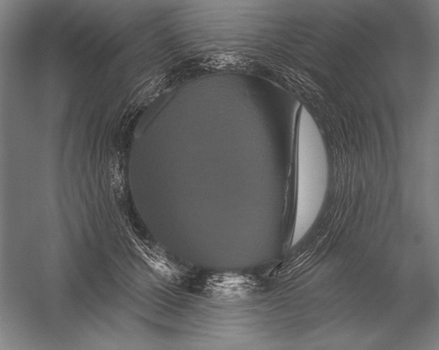 X0000056350607200509091558