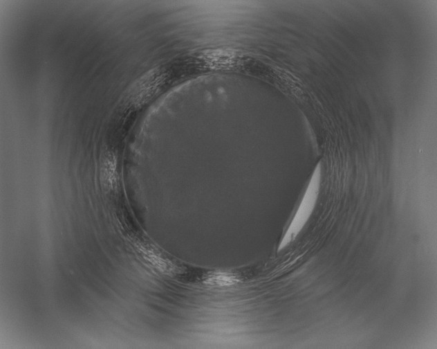 X0000056350610200509091558