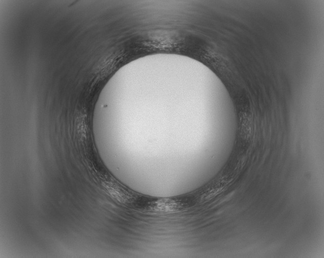 X0000056350612200509091558