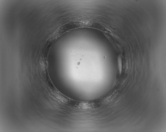 X0000056350613200509091558