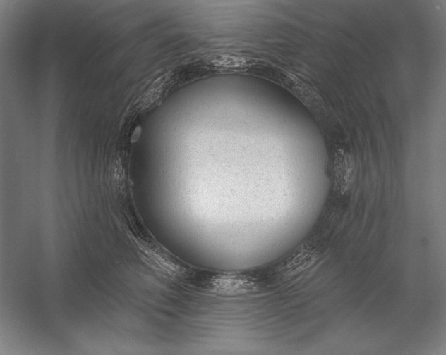 X0000056350614200509091558