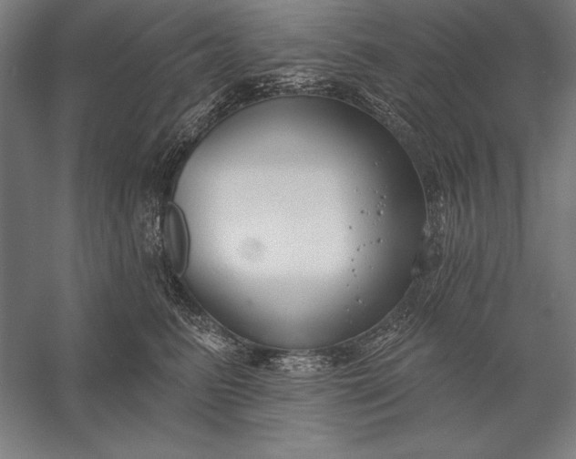 X0000056350615200509091558