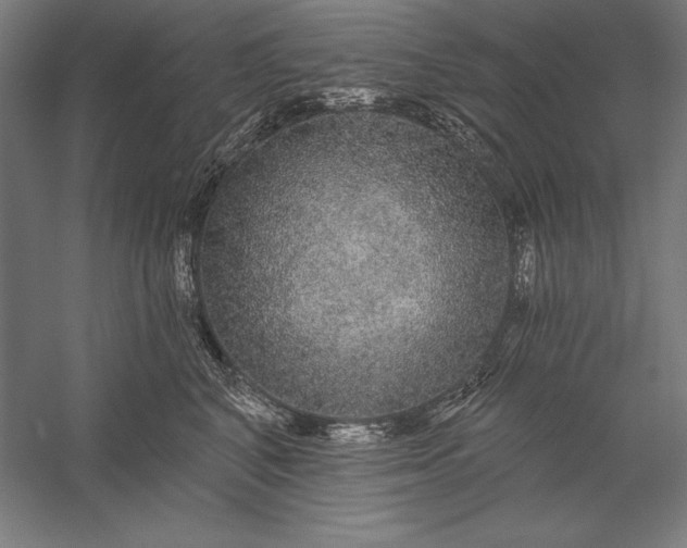 X0000056350616200509091558