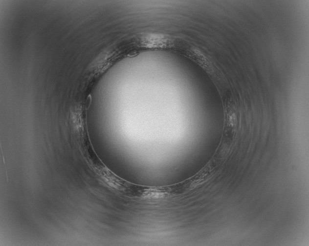 X0000056350620200509091558