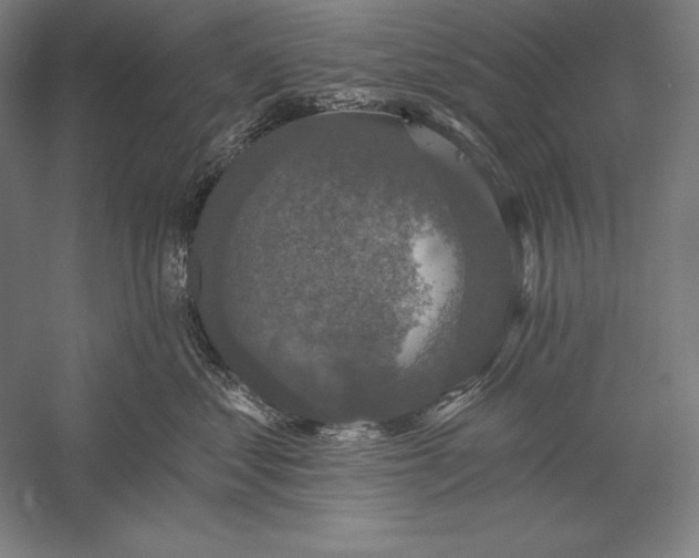 X0000056350621200509091558