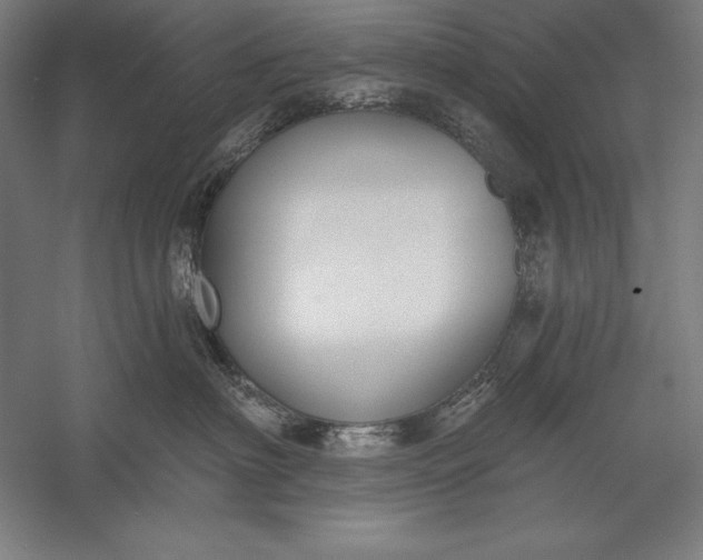 X0000056350622200509091558