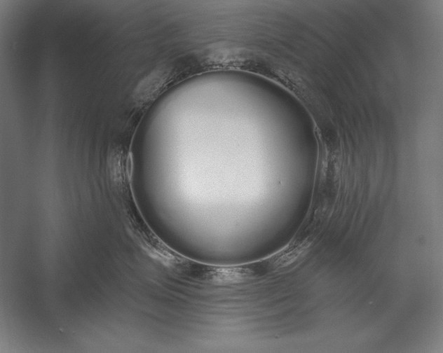 X0000056350623200509091558