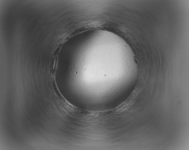 X0000056350624200509091558