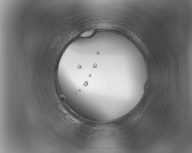 X0000056350625200509091557