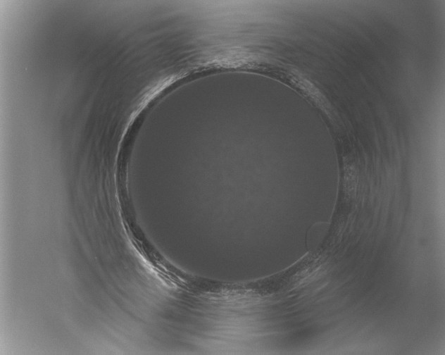 X0000056350626200509091557