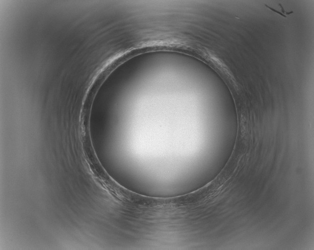 X0000056350628200509091557