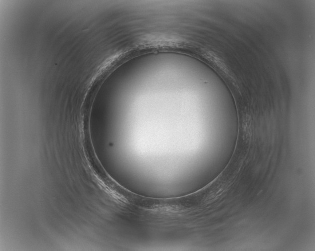 X0000056350629200509091557