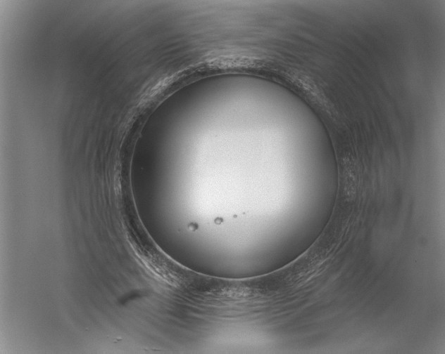 X0000056350631200509091557